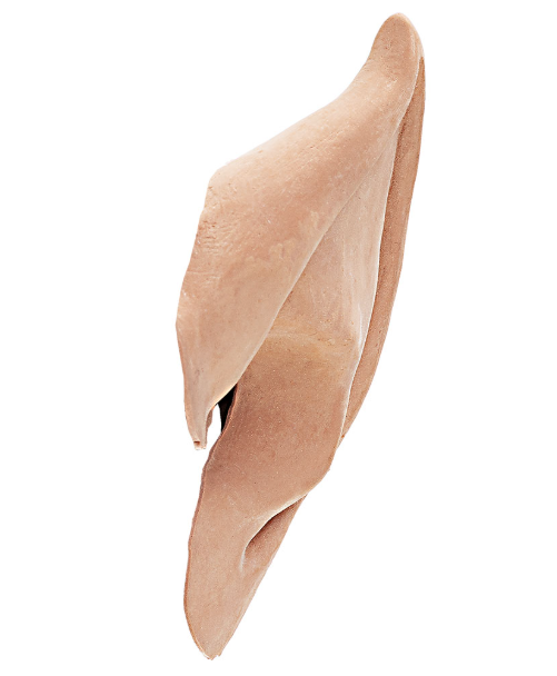 Orecchie in lattice Star Traveller 03